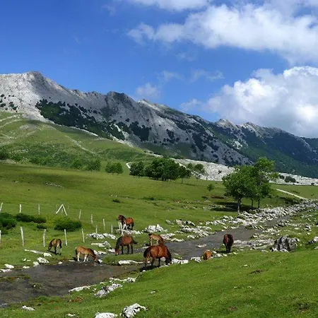 Acogedor Parque Aizkorri-aratz A 45 Min San Sebastian Διαμέρισμα