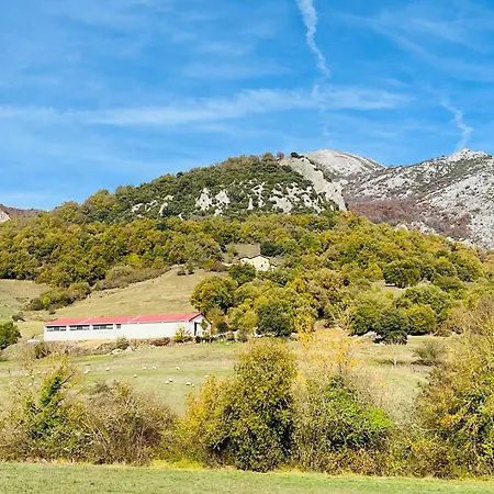Daire Acogedor Parque Aizkorri-aratz A 45 Min San Sebastian