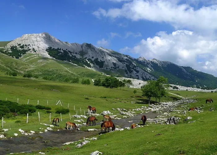 Acogedor Parque Aizkorri-aratz A 45 Min San Sebastian Lejlighed